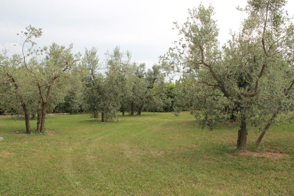 Agriturismo Piano Grande Avigliano Umbro Room photo